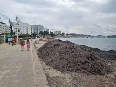 Playa d’en Bossa en Ibiza con zona de orilla y algas, punto turístico popular donde muchos visitantes buscan actividades de jet ski y excursiones en moto de agua con traslado a Santa Eulalia